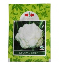 Cauliflower Dhaval 043